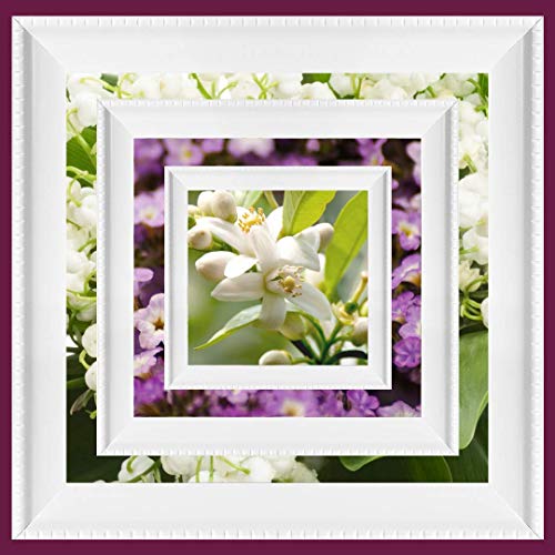 Rochas Mademoiselle Couture Eau De Parfum 50ml Spray - Perfume & Cologne at MyPerfumeShop by Rochas