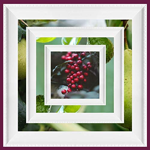 Rochas Mademoiselle Couture Eau De Parfum 50ml Spray - Perfume & Cologne at MyPerfumeShop by Rochas