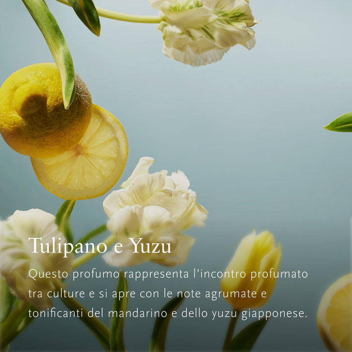 Rituals Amsterdam Collection Gift Set 50ml Foaming Shower Gel + 70ml Body Cream + 20ml Body Mist + 110ml Hand Wash