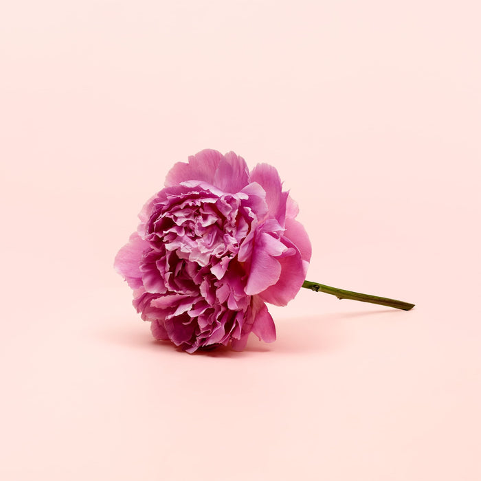 Calvin Klein Eternity Eau de Parfum 100ml Spray