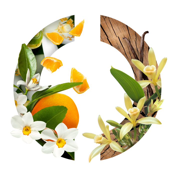 Caron Narcisse Blanc Eau De Parfum 30ml - Eau De Parfum at MyPerfumeShop by Caron