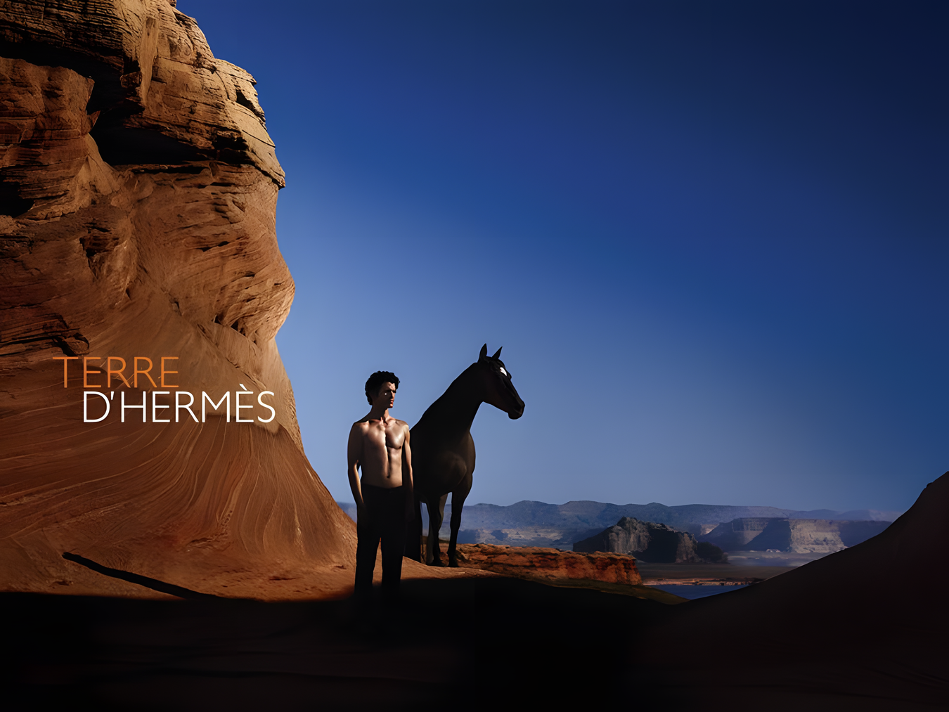 Terre D Hermes