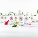 Roger & Gallet Bois d'Orange Wellbeing Fragranced Water 100ml Spray - Fragrance at MyPerfumeShop by Roger & Gallet