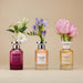 Abercrombie & Fitch Authentic Moment Woman Eau de Parfum 100ml Spray - For Her at MyPerfumeShop by Abercrombie & Fitch