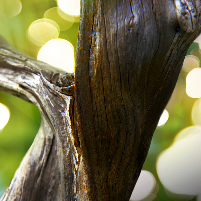 Bvlgari Man Wood Essence Gift Set 100ml EDP + 15ml EDP