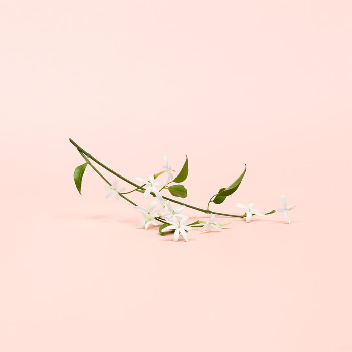 Calvin Klein Eternity Eau de Parfum 100ml Spray