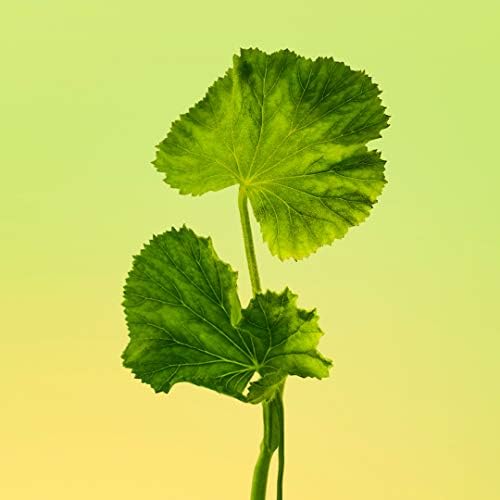 Calvin Klein Eternity For Men Eau de Toilette 50ml - Eau de Toilette at MyPerfumeShop by Calvin Klein