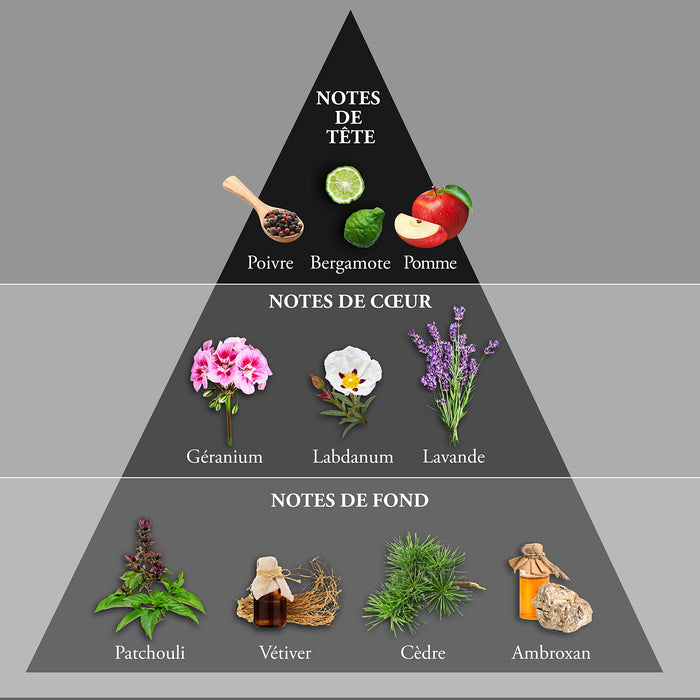 Evaflor Whisky Black Op Eau De Toilette 100ml - Eau de Toilette at MyPerfumeShop by Whisky