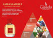 Gisada Ambassadora Eau De Parfum 50ml - Eau de Perfume at MyPerfumeShop by Gisada
