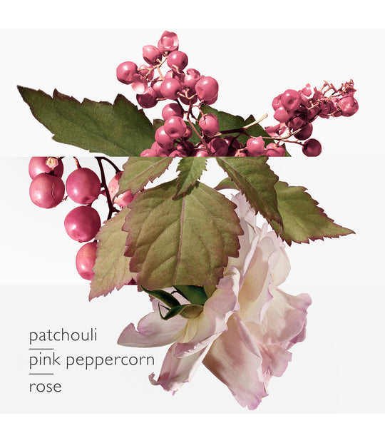 Hermès Twilly D'hermès Eau Poivree Eau De Parfum 30ml - Eau De Parfum at MyPerfumeShop by Hermès