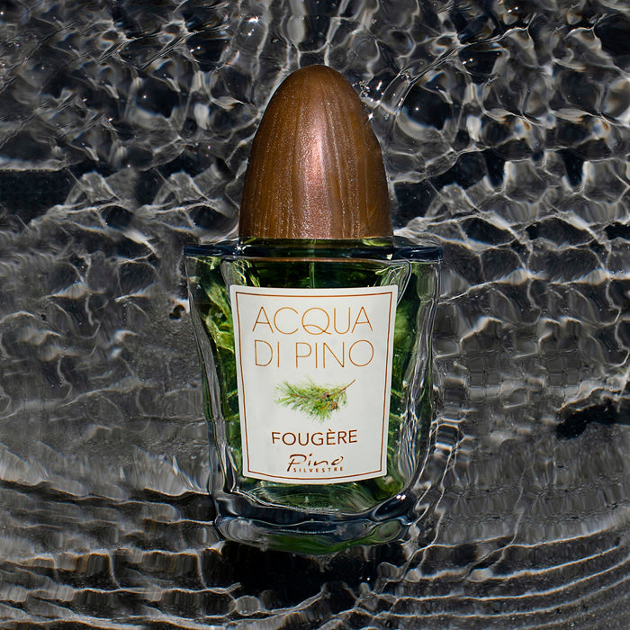 Pino Silvestre Acqua Di Pino Fougere Eau de Toilette 125ml