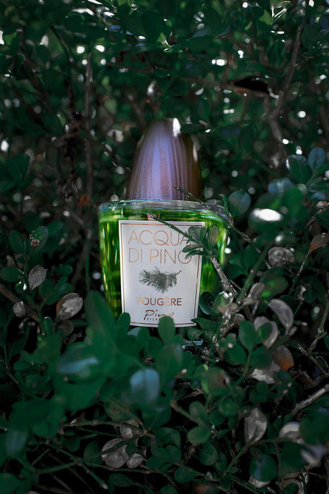 Pino Silvestre Acqua Di Pino Fougere Eau de Toilette 125ml