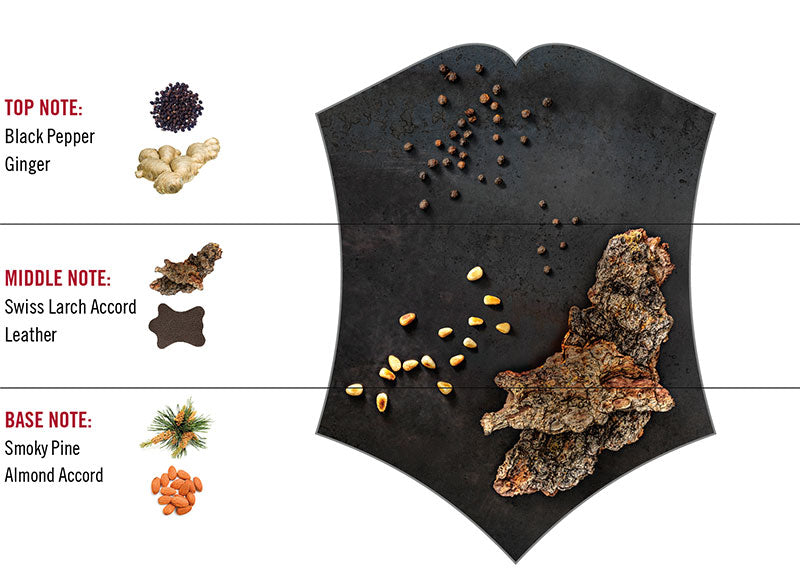 Swiss Army Black Steel Eau de Toilette 100ml Spray - Eau de Toilette at MyPerfumeShop by Swiss Army