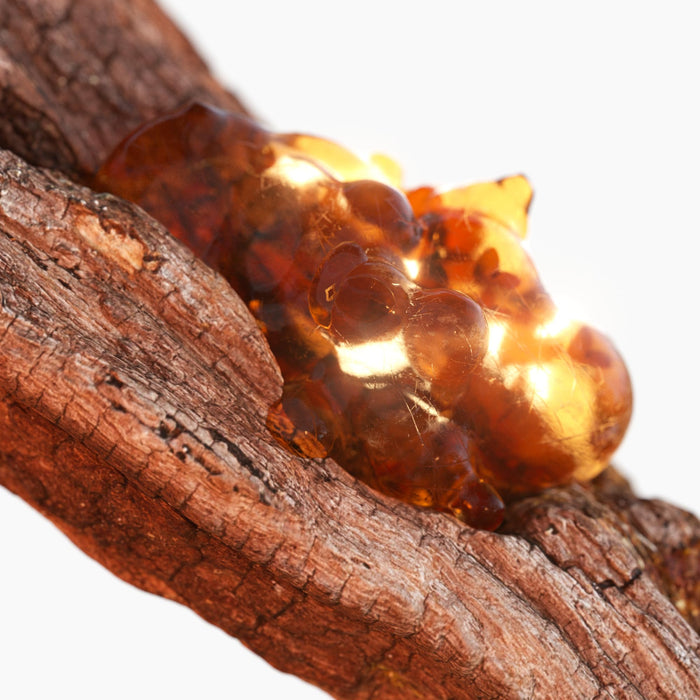 Tommy Hilfiger Tommy Now Eau de Toilette 100ml Spray