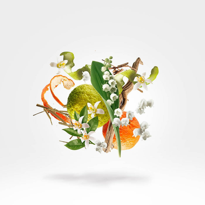 Xerjoff XJ 1861 Renaissance Eau de Parfum 100ml Spray